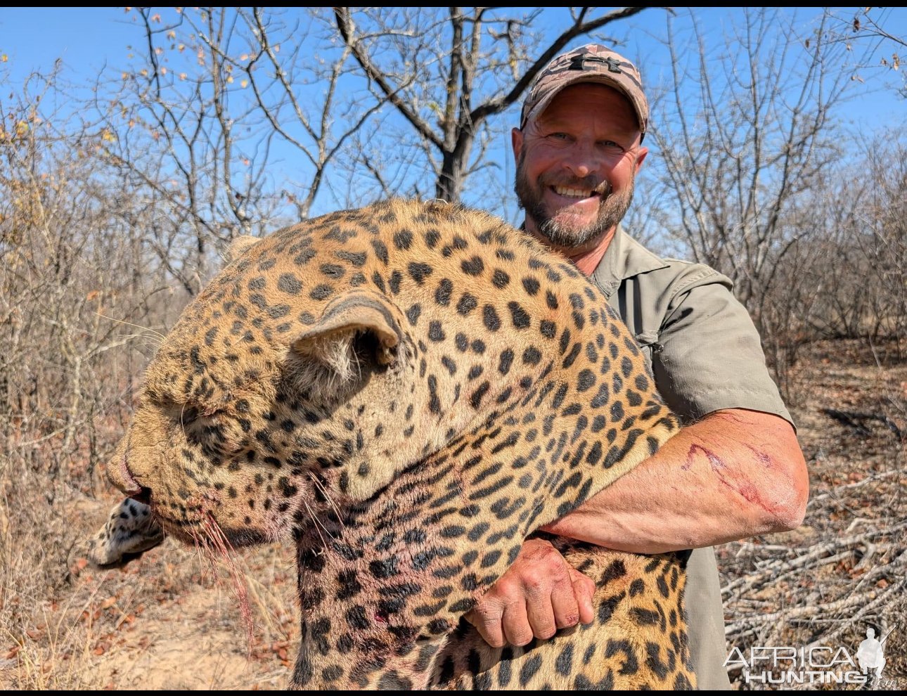 Leopard Hunt South East Lowveld Zimbabwe