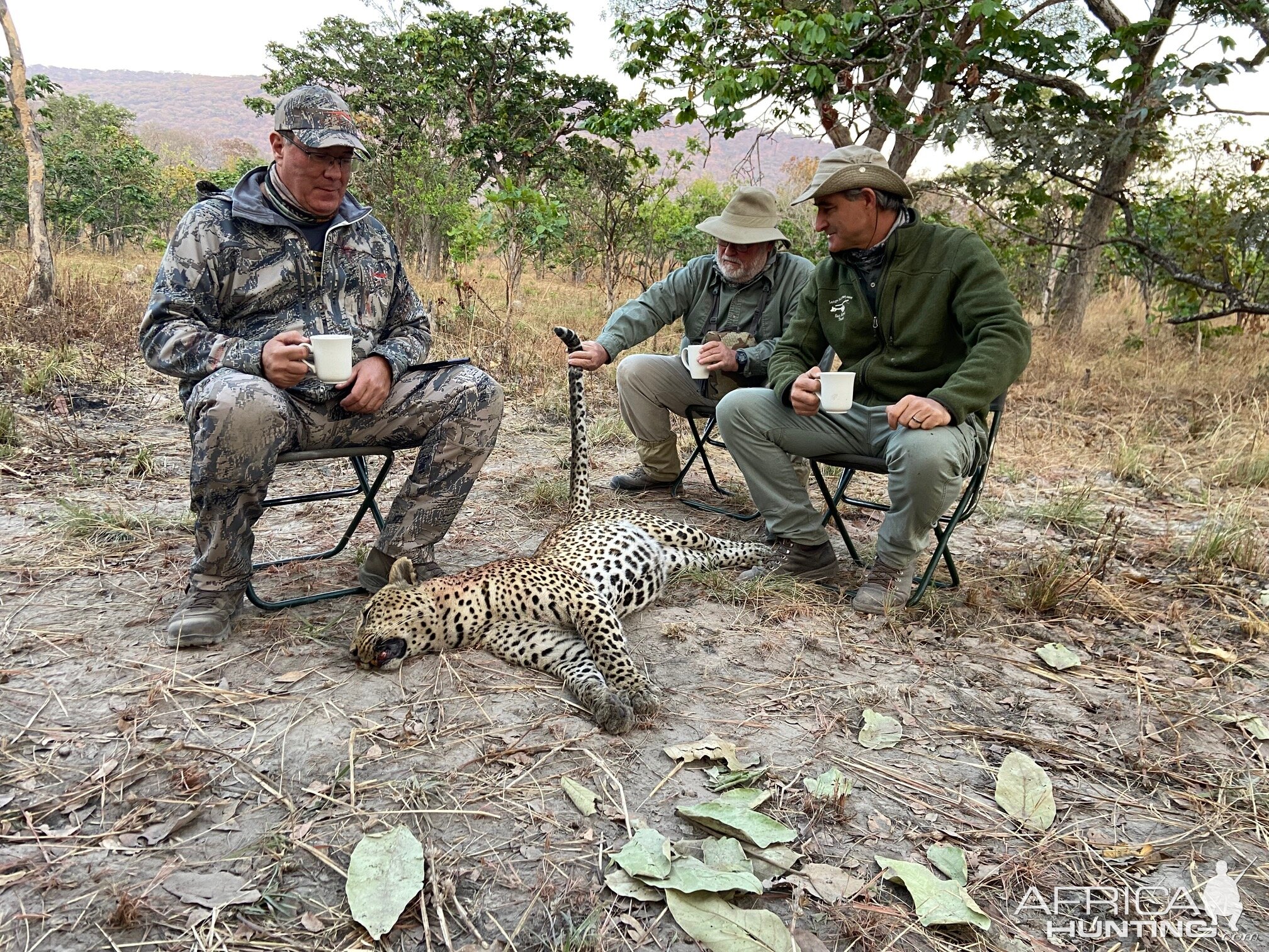 Leopard Hunt Tanzania