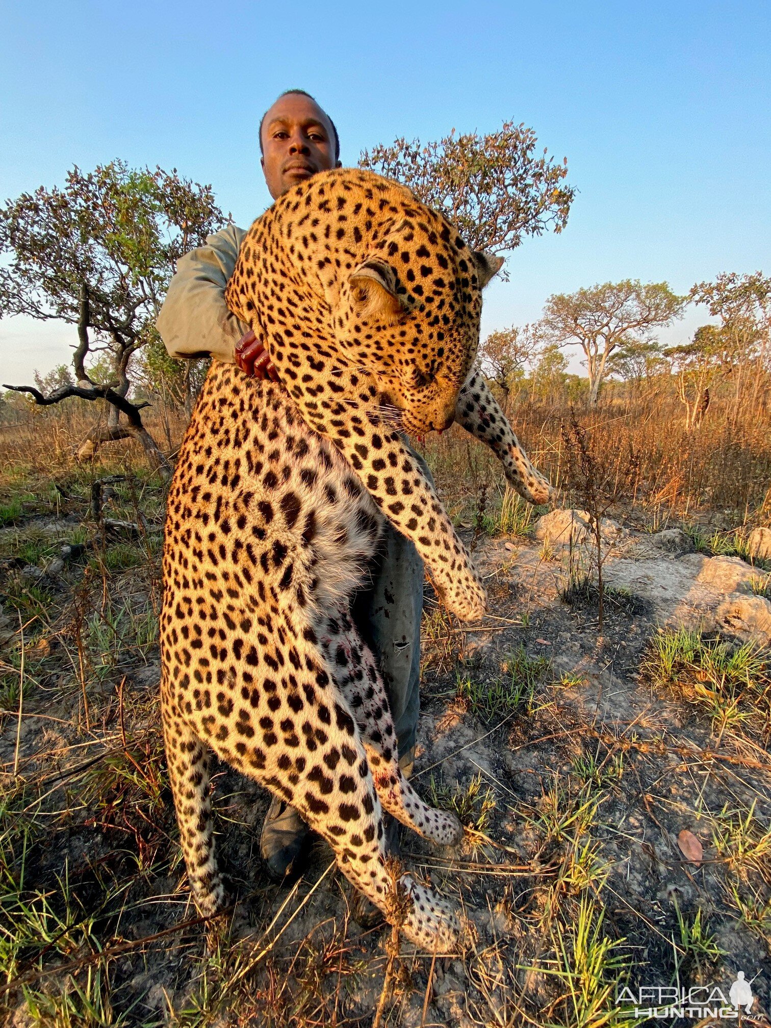 Leopard Hunt Tanzania