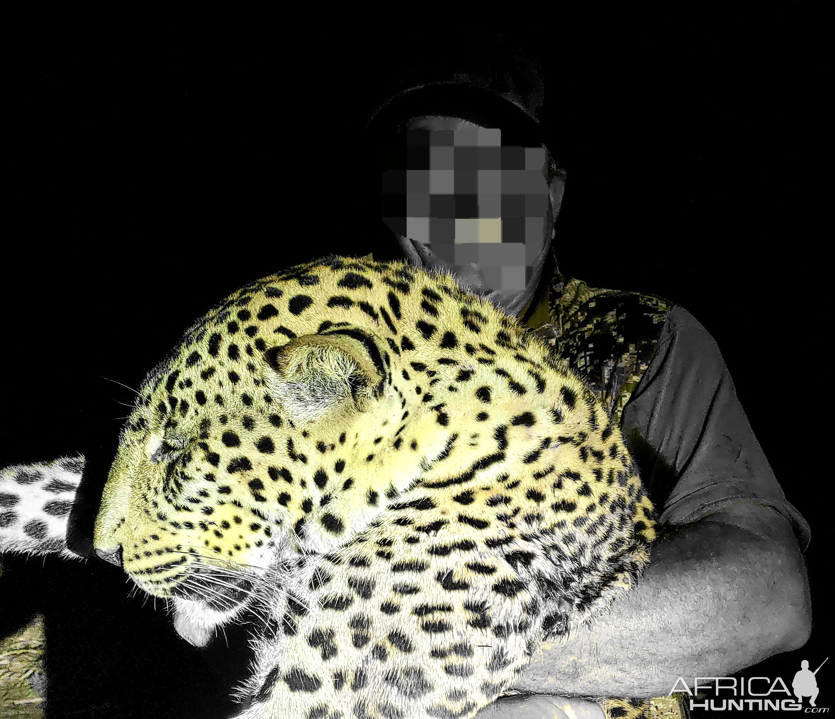 Leopard Hunt Tanzania