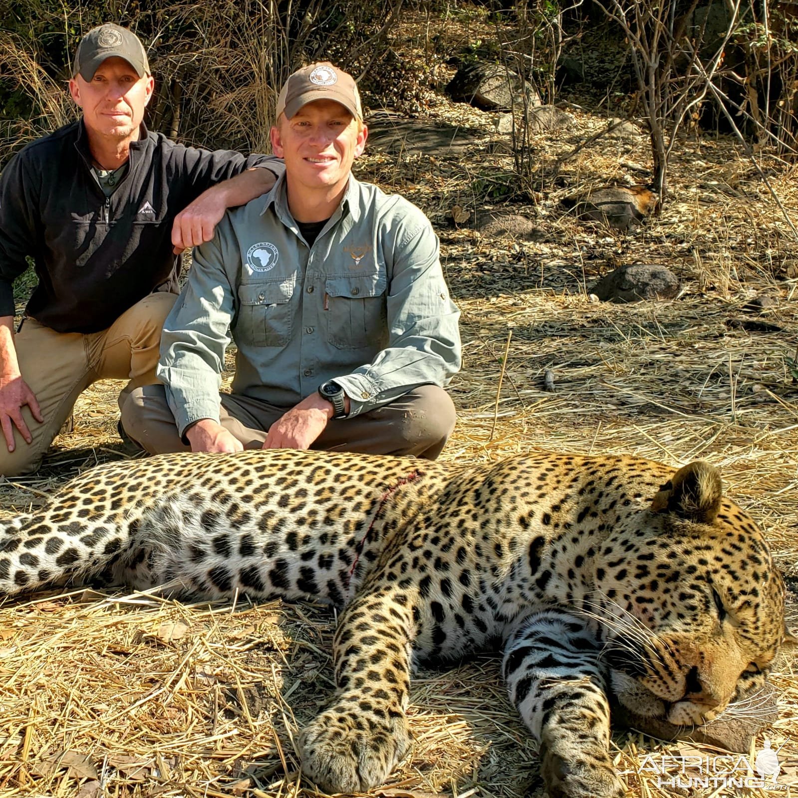 Leopard Hunt Tanzania