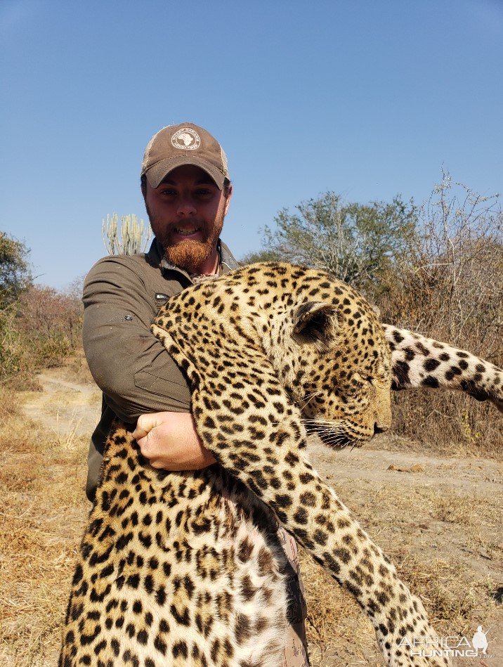 Leopard Hunt Tanzania