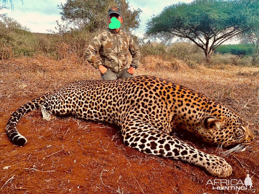 Leopard Hunt Tanzania