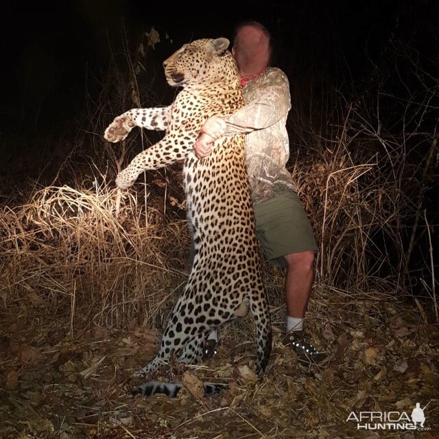 Leopard Hunt Tanzania