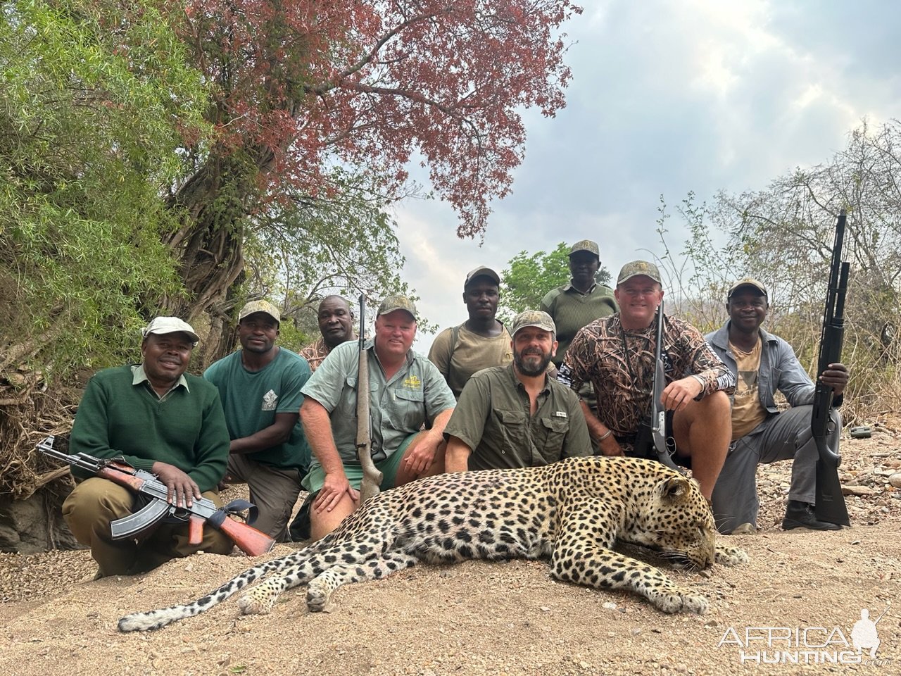 Leopard Hunt Zimbabwe