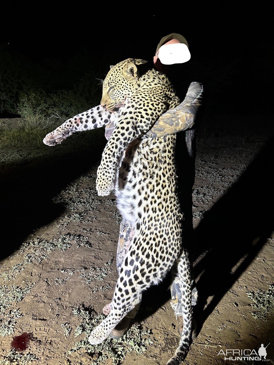 Leopard Hunt Zimbabwe