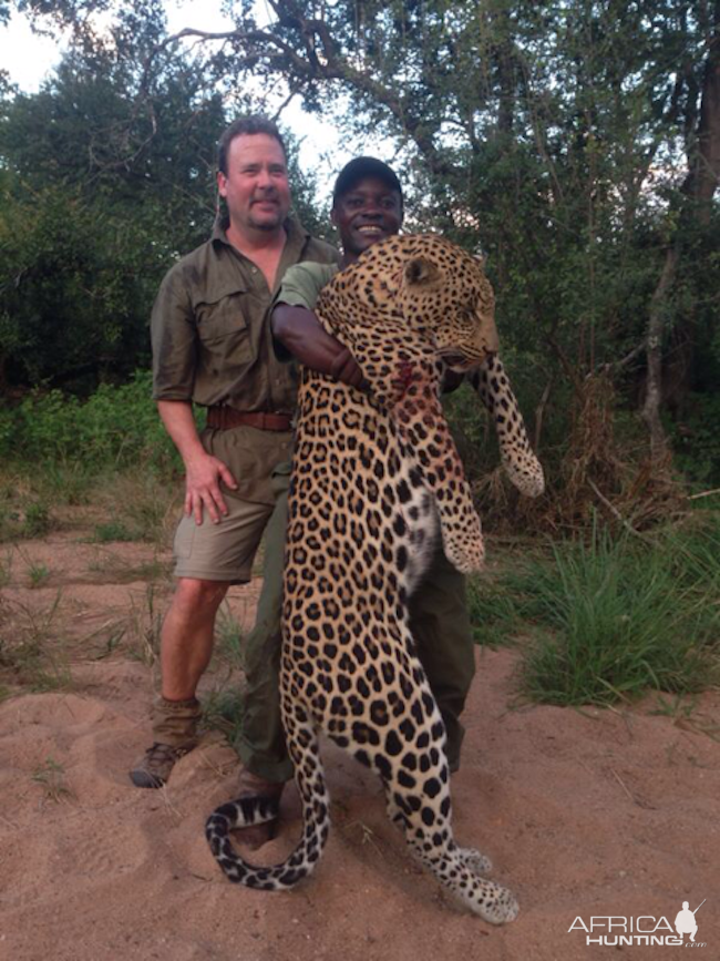 Leopard Hunt Zimbabwe