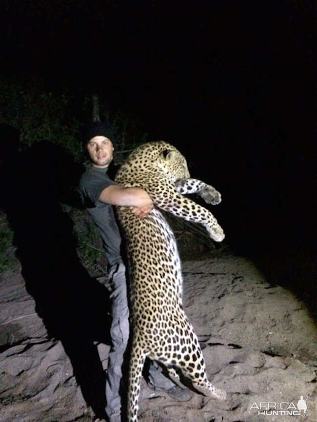 Leopard Hunt Zimbabwe