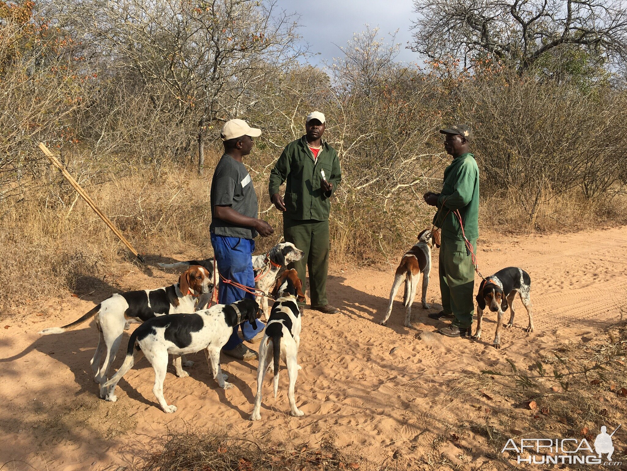 Leopard Hunt Zimbabwe