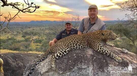 Leopard Hunt Zimbabwe