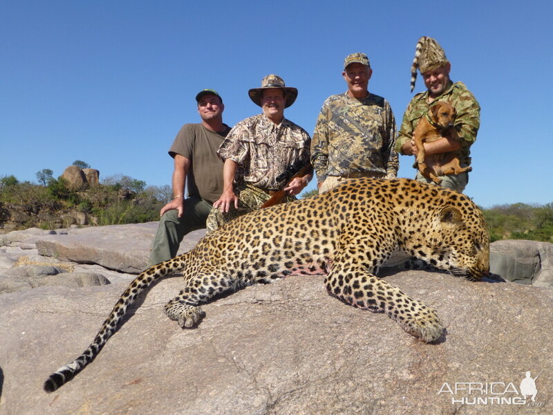 Leopard Hunt Zimbabwe