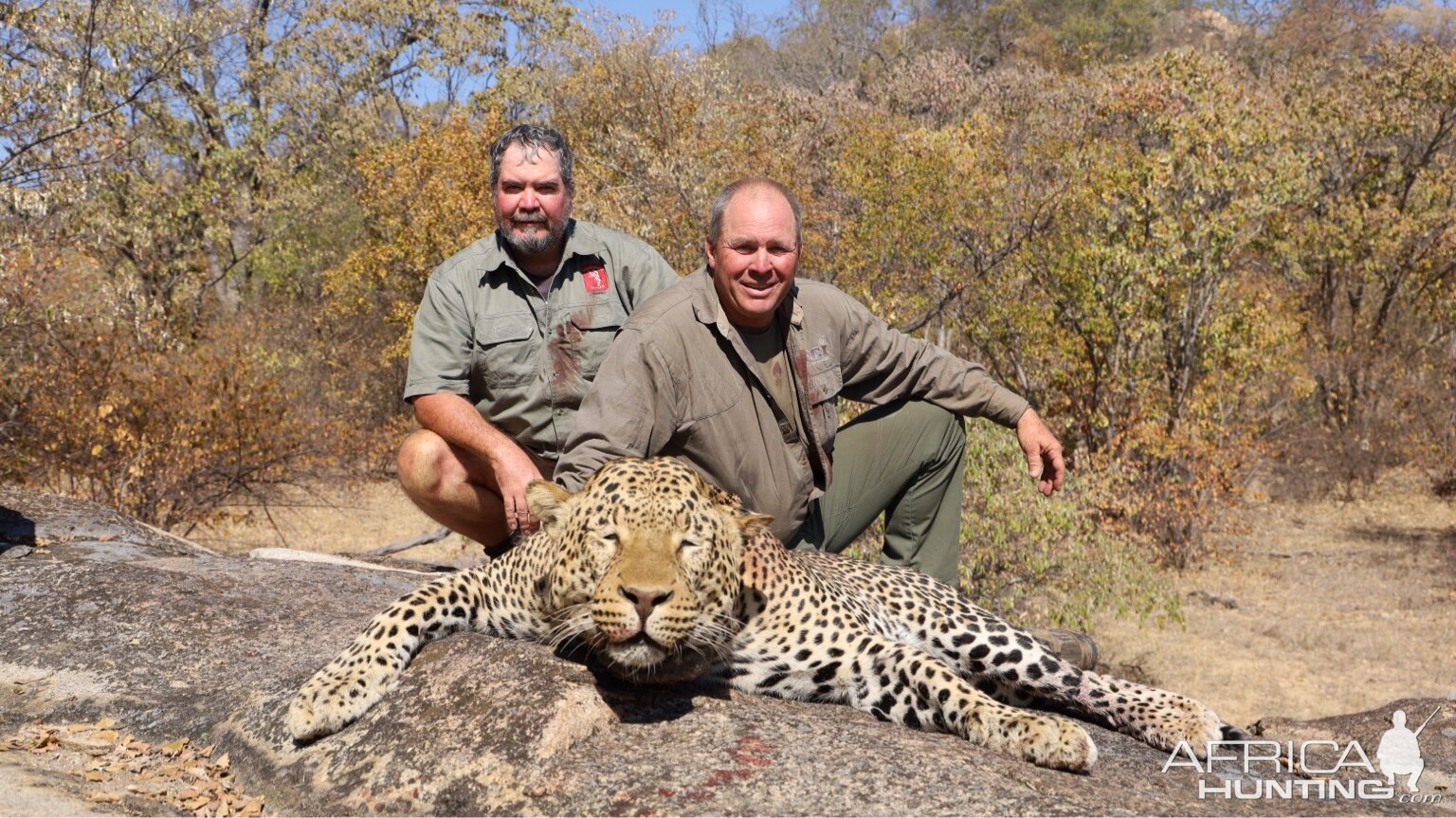 Leopard Hunt Zimbabwe