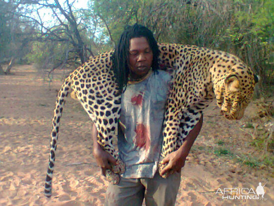 Leopard Hunt