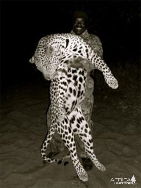 Leopard Hunt