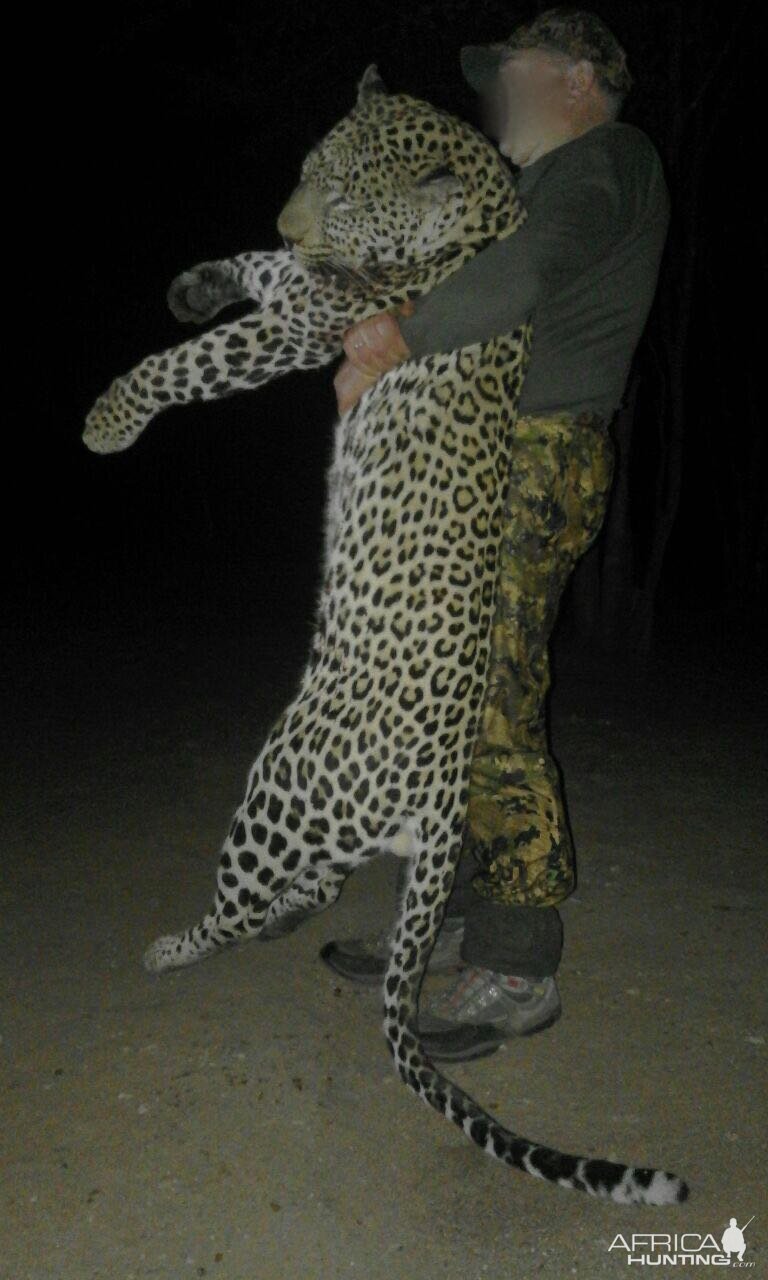 Leopard Hunt