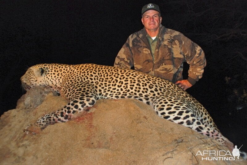 Leopard Hunt