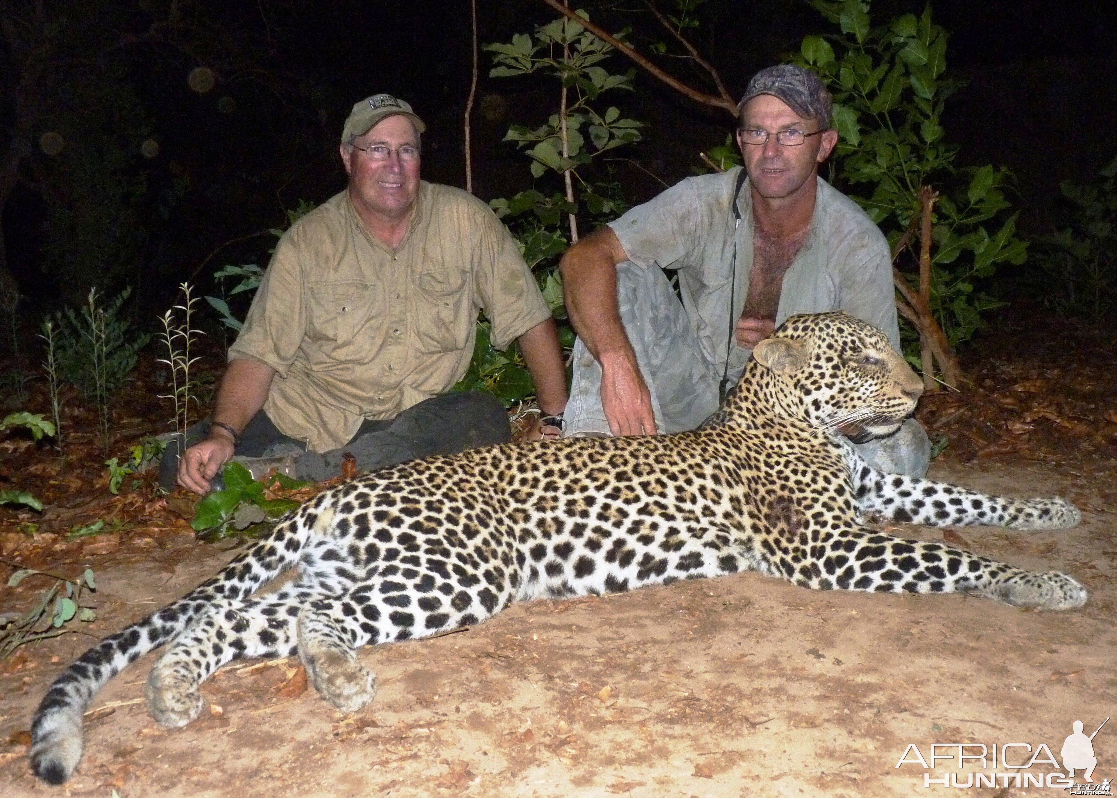 Leopard hunted in CAR