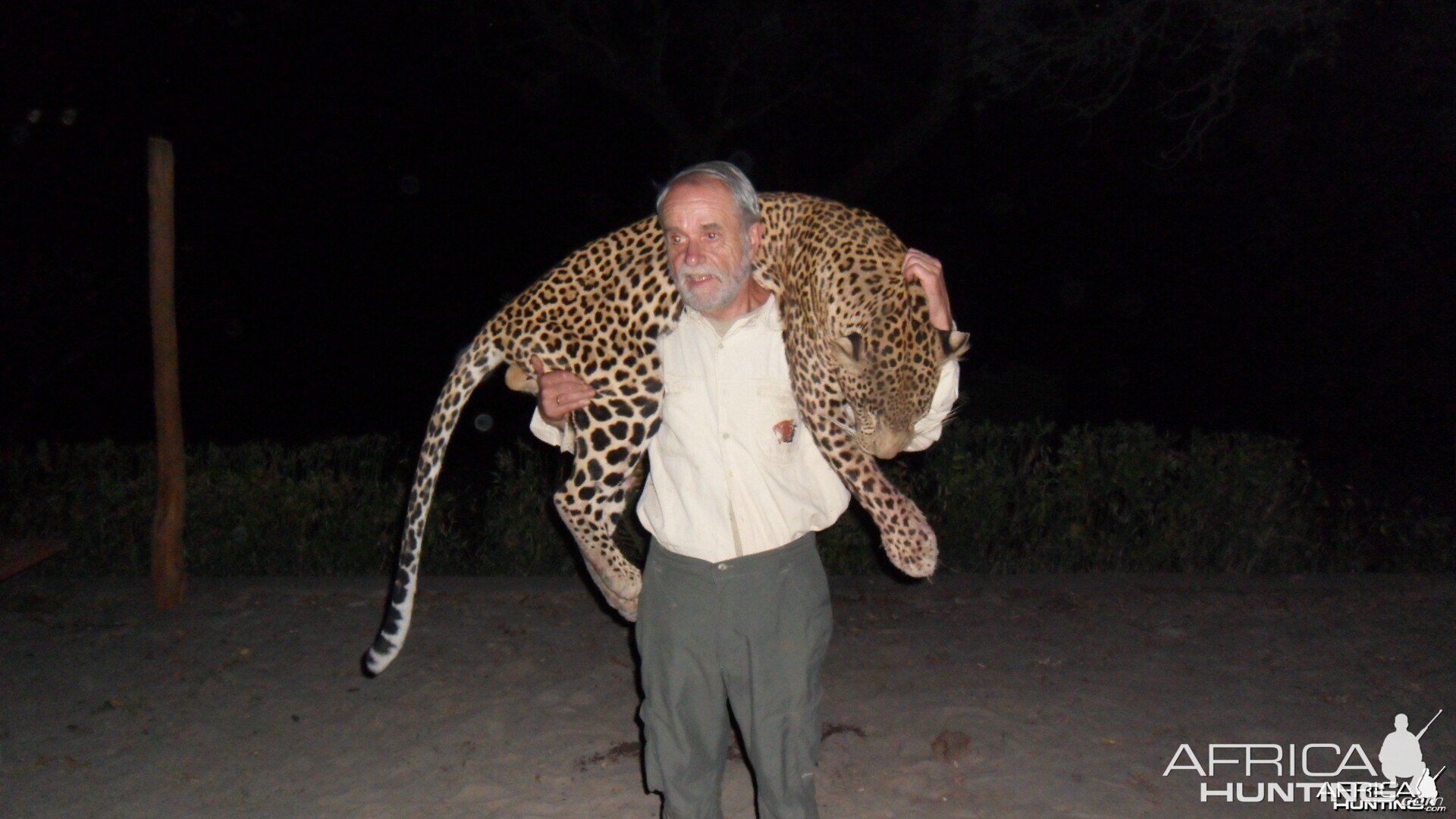 Leopard hunted in Central Africa with Club Faune