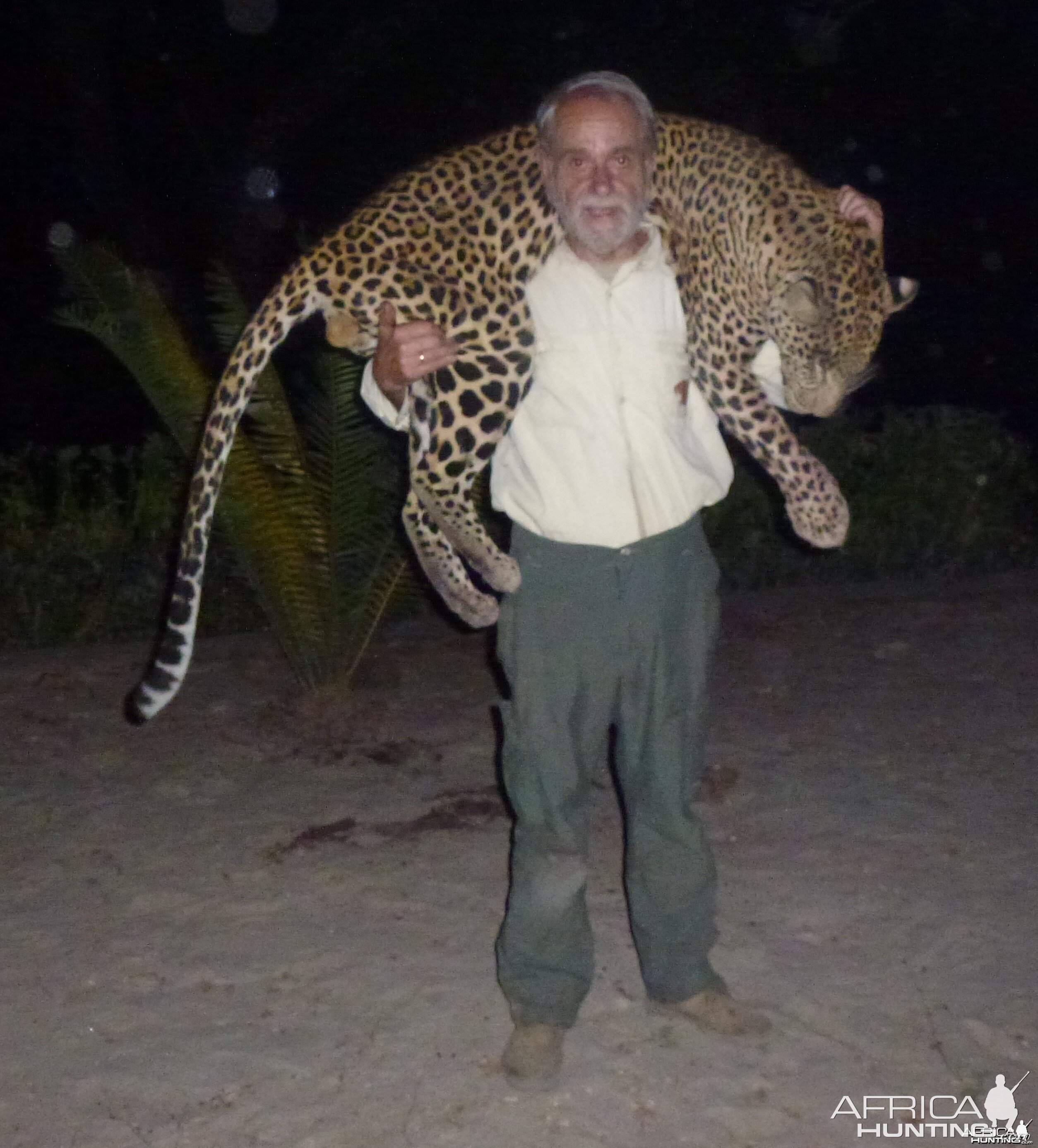 Leopard hunted in Central Africa with Club Faune