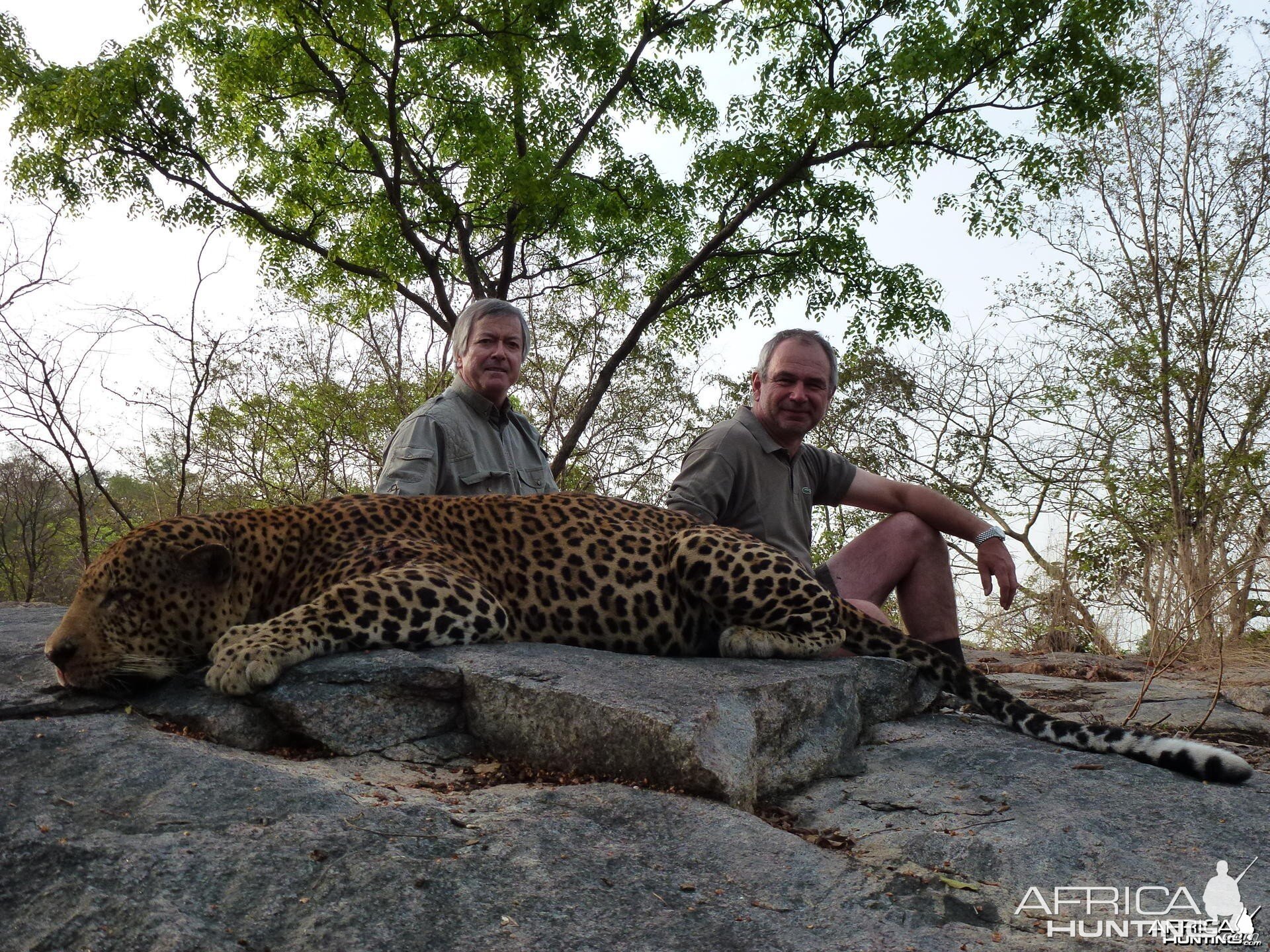 Leopard hunted in Central African Republic with Rudy Lubin Safaris