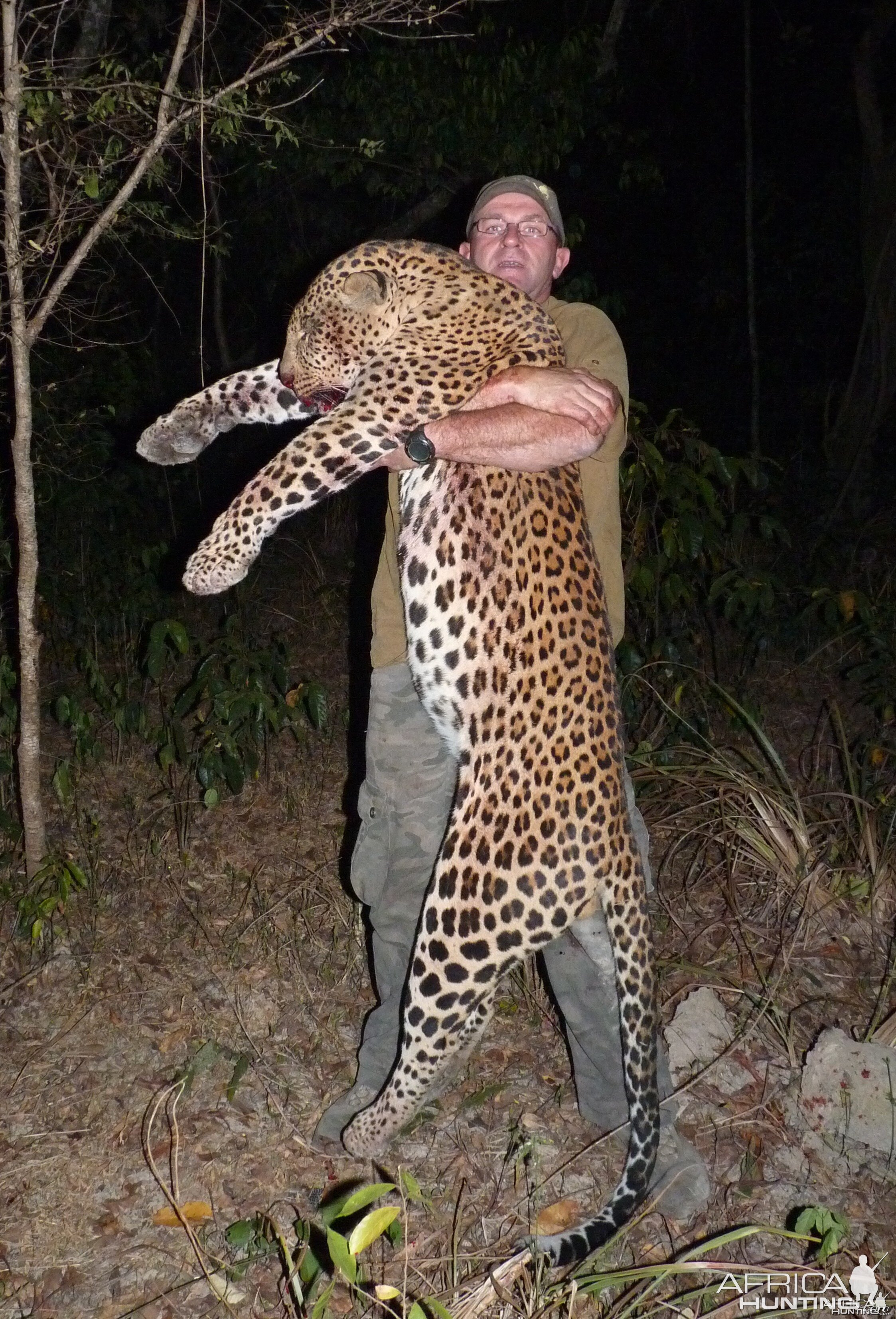 Leopard hunted in Central African Republic