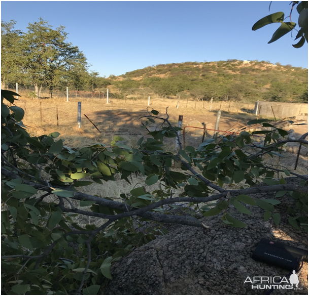 Leopard Hunting Blind