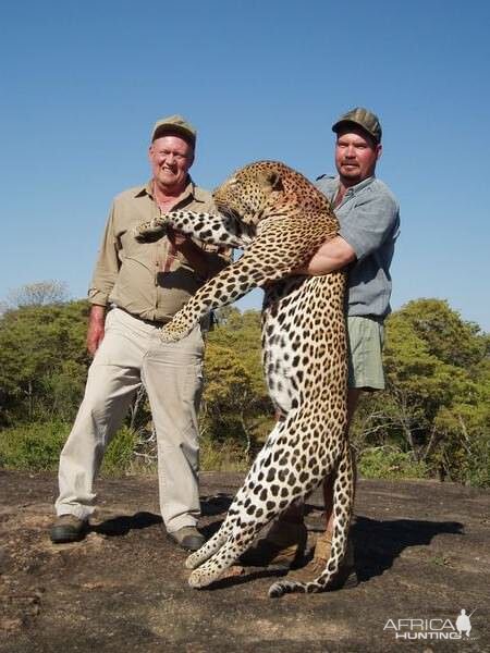 Leopard Hunting in Zimbabwe