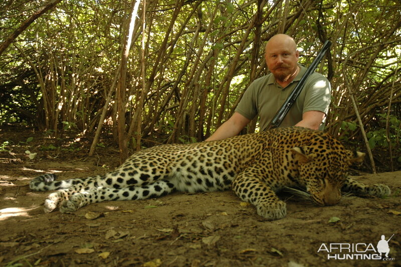 Leopard Hunting in Zimbabwe