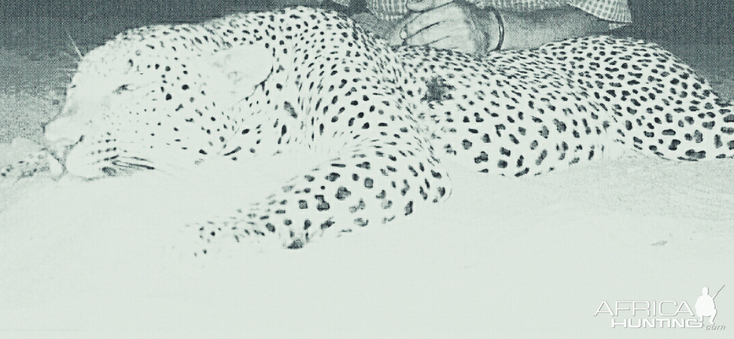 Leopard Hunting India