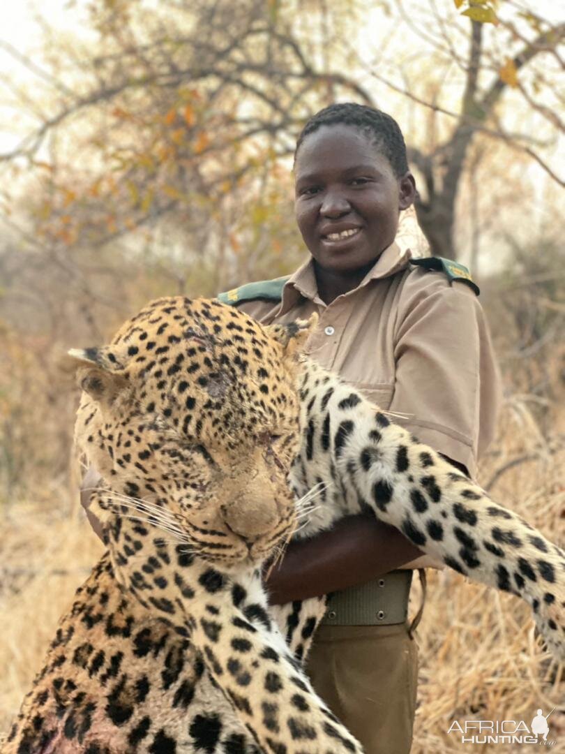 Leopard Hunting Matetsi Zimbabwe