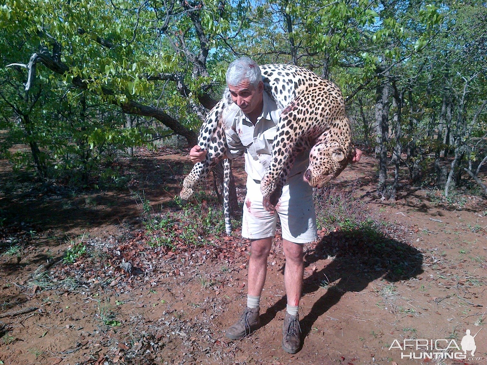 Leopard Hunting Mozambique