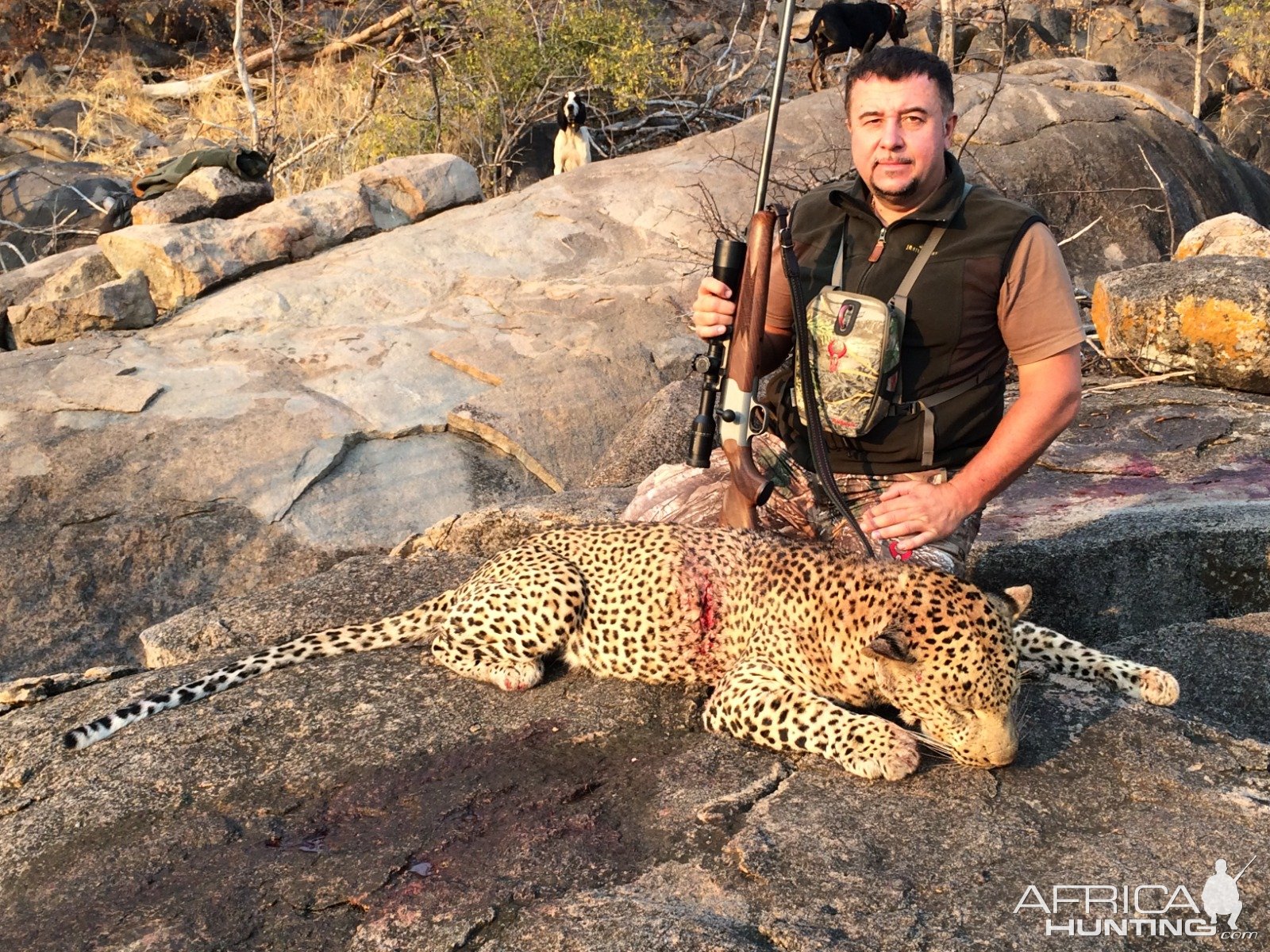 Leopard Hunting Mozambique