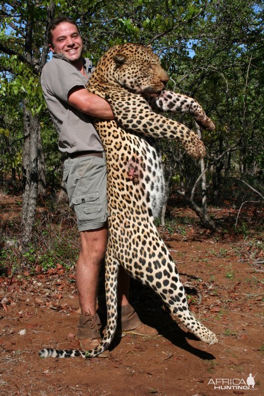 Leopard Hunting Mozambique