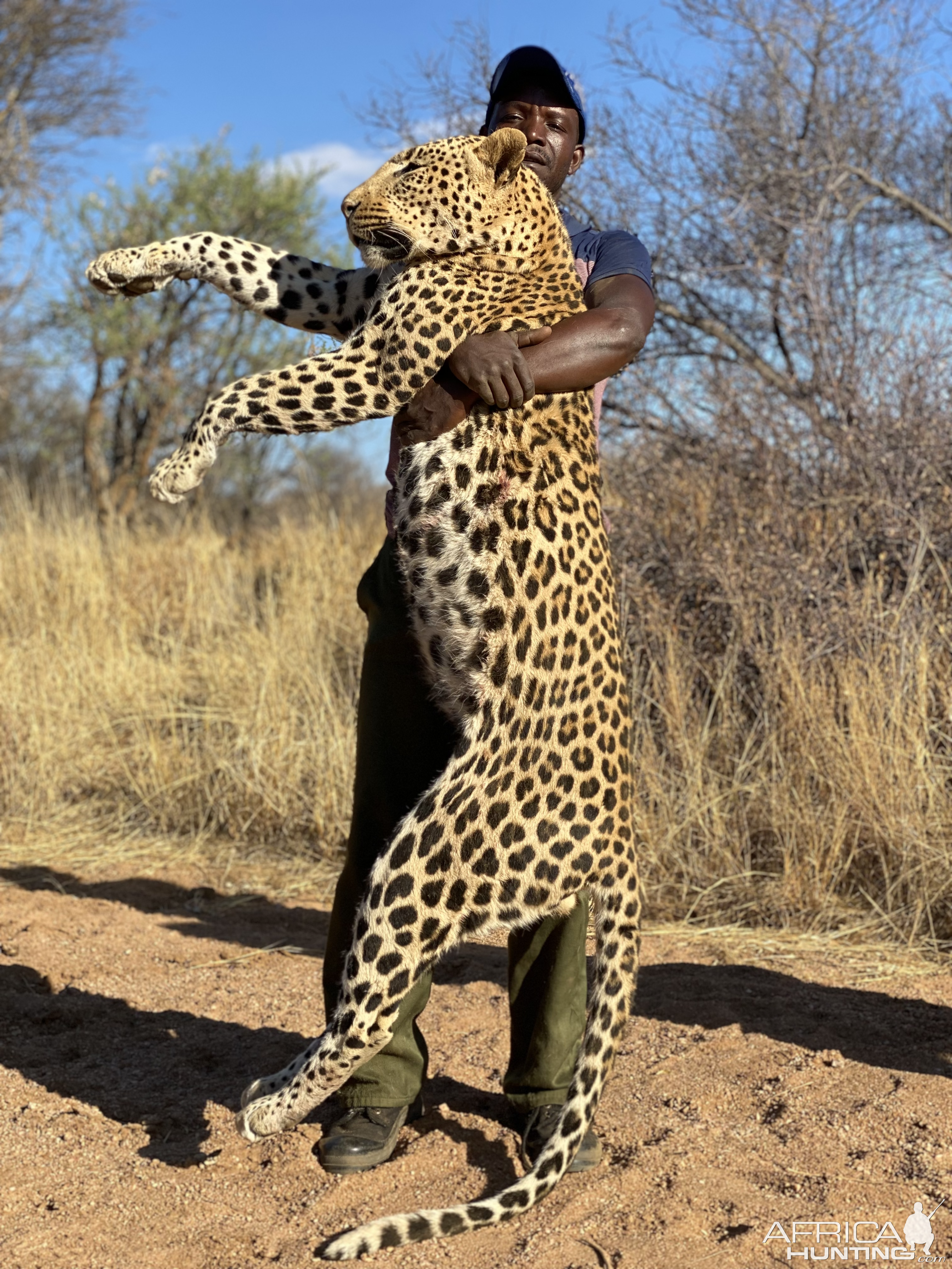 Leopard Hunting Namibia