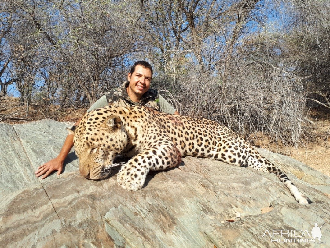 Leopard Hunting Namibia