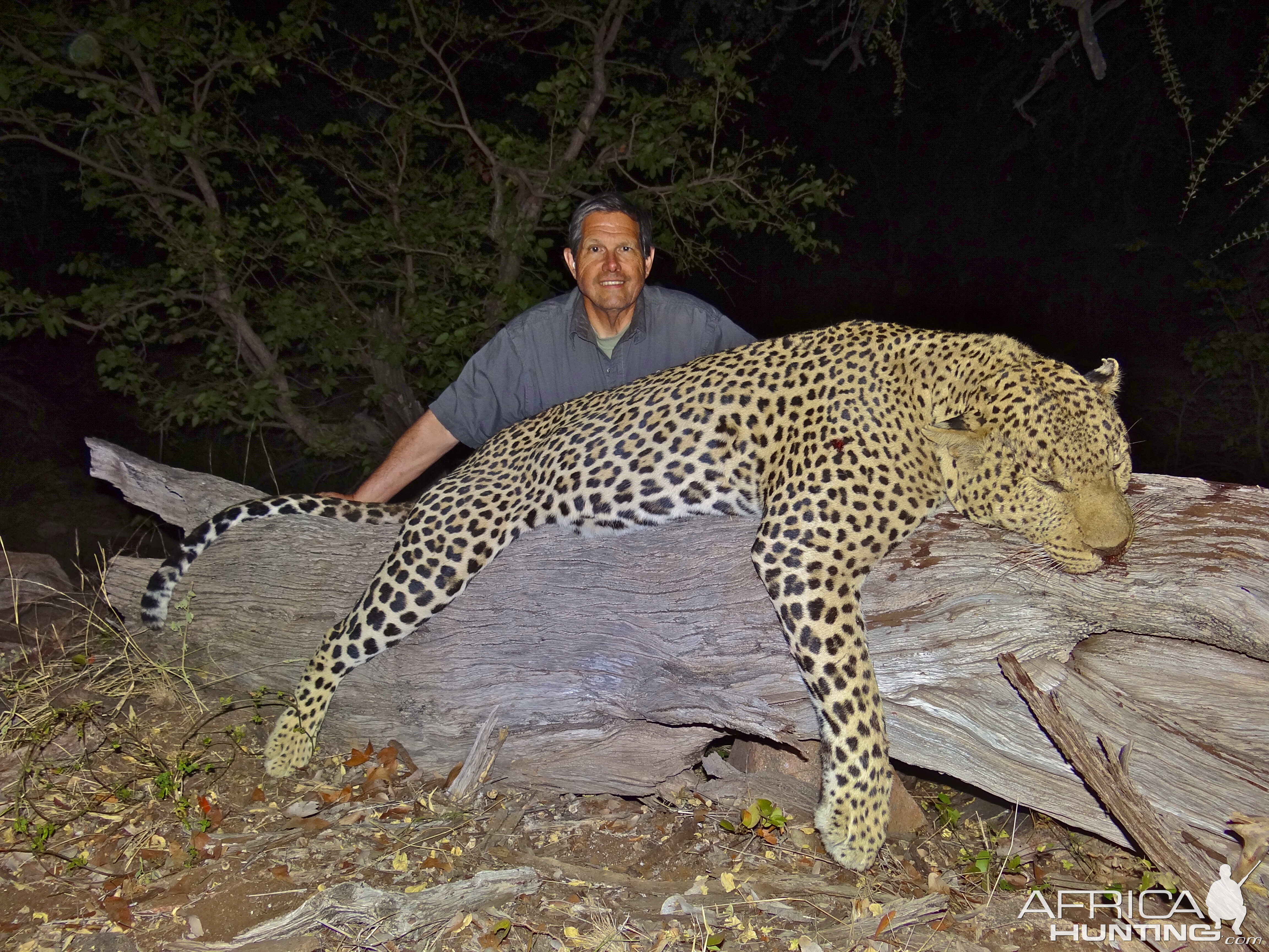 Leopard Hunting Tete Mozambique