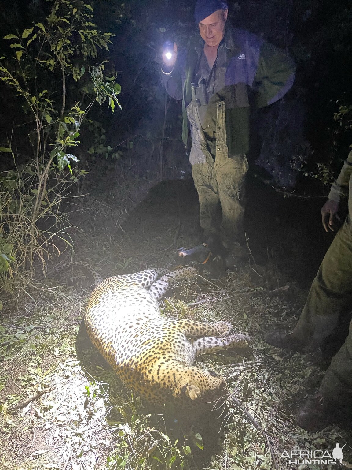 Leopard Hunting Zimbabwe