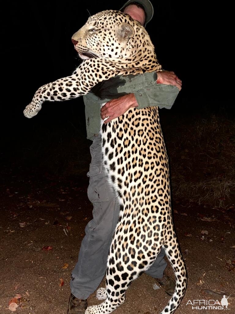 Leopard Hunting Zimbabwe