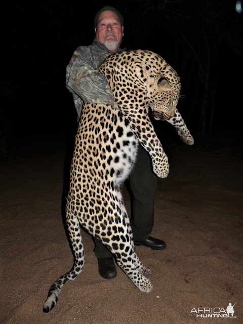 Leopard Hunting Zimbabwe