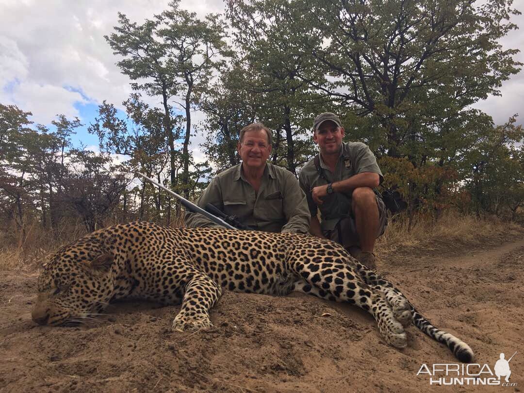 Leopard Hunting Zimbabwe