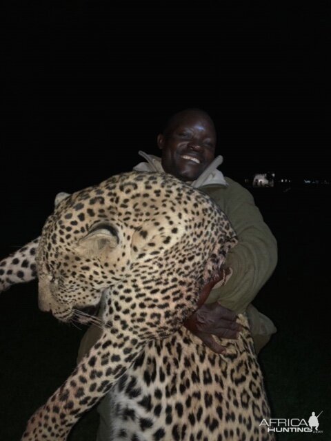 Leopard Hunting Zimbabwe