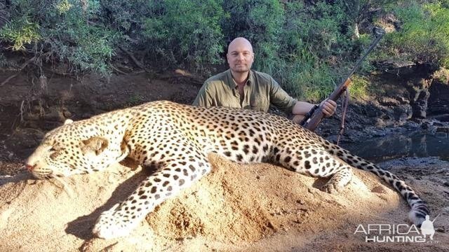 Leopard Hunting Zimbabwe