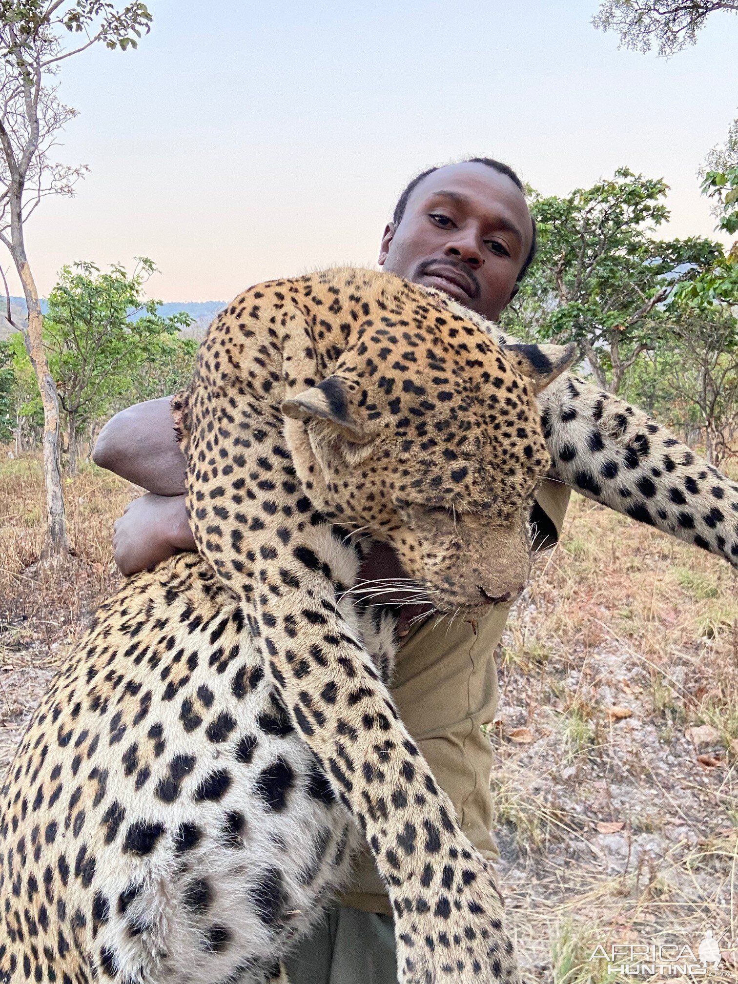 Leopard Hunting