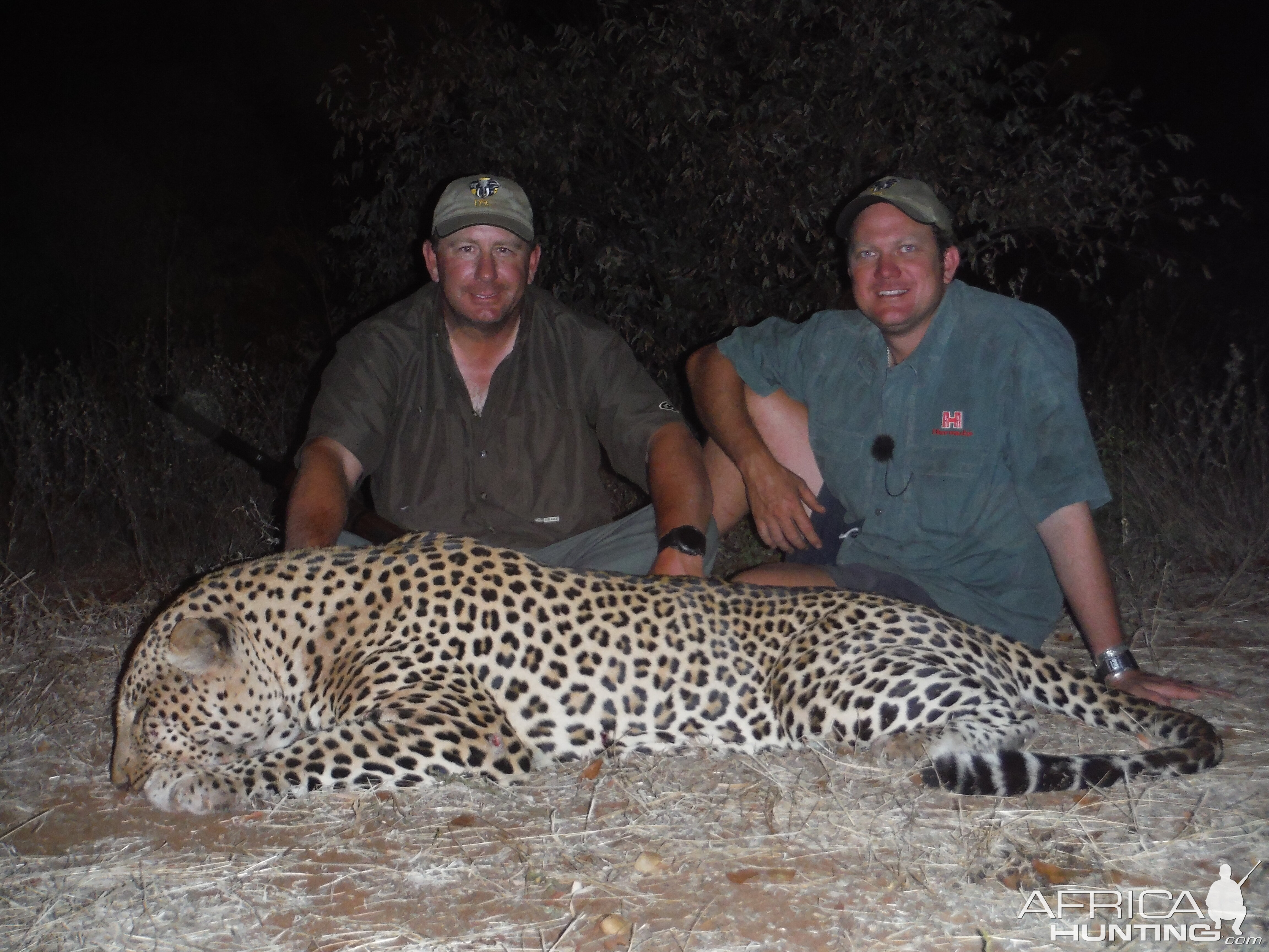 Leopard Hunting