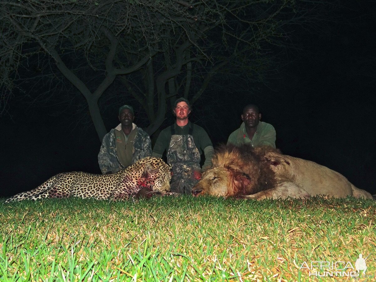 Leopard & Lion Hunting