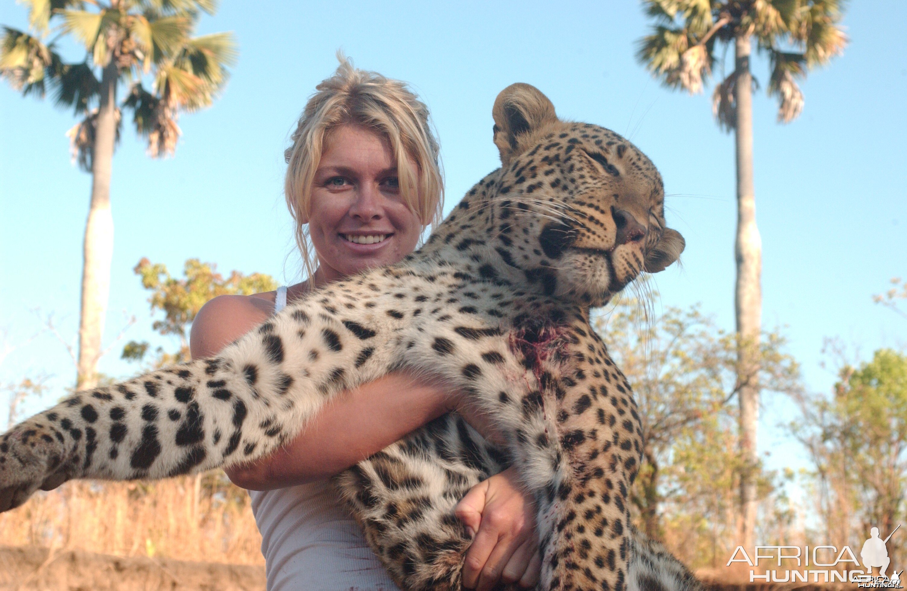 Leopard-Mikambe River, Tanzania