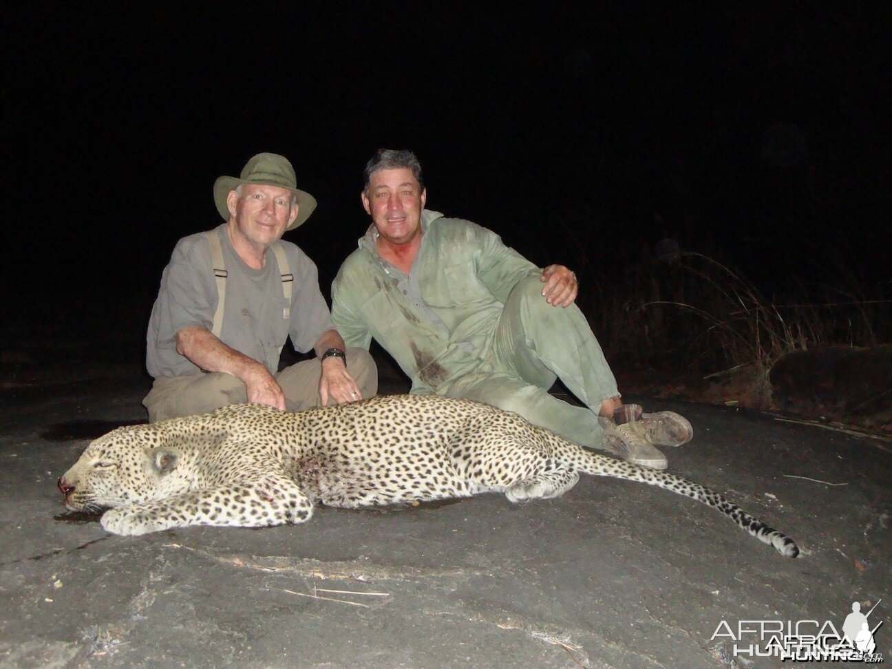 Leopard Mozambique