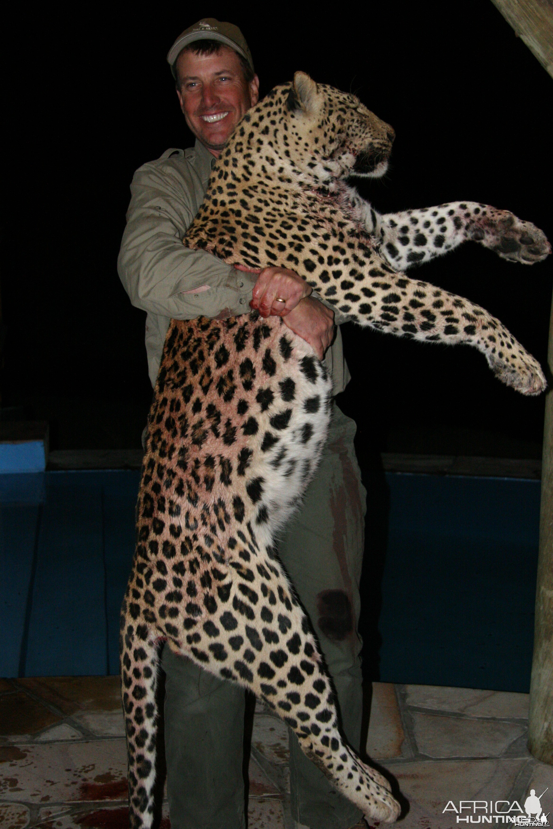 Leopard Namibia 2011