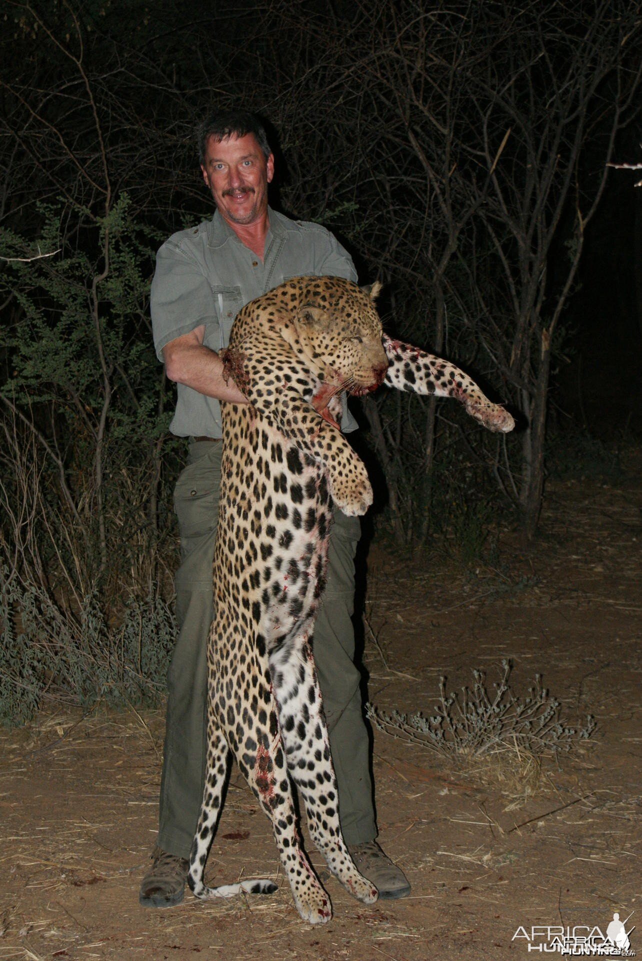 Leopard Namibia