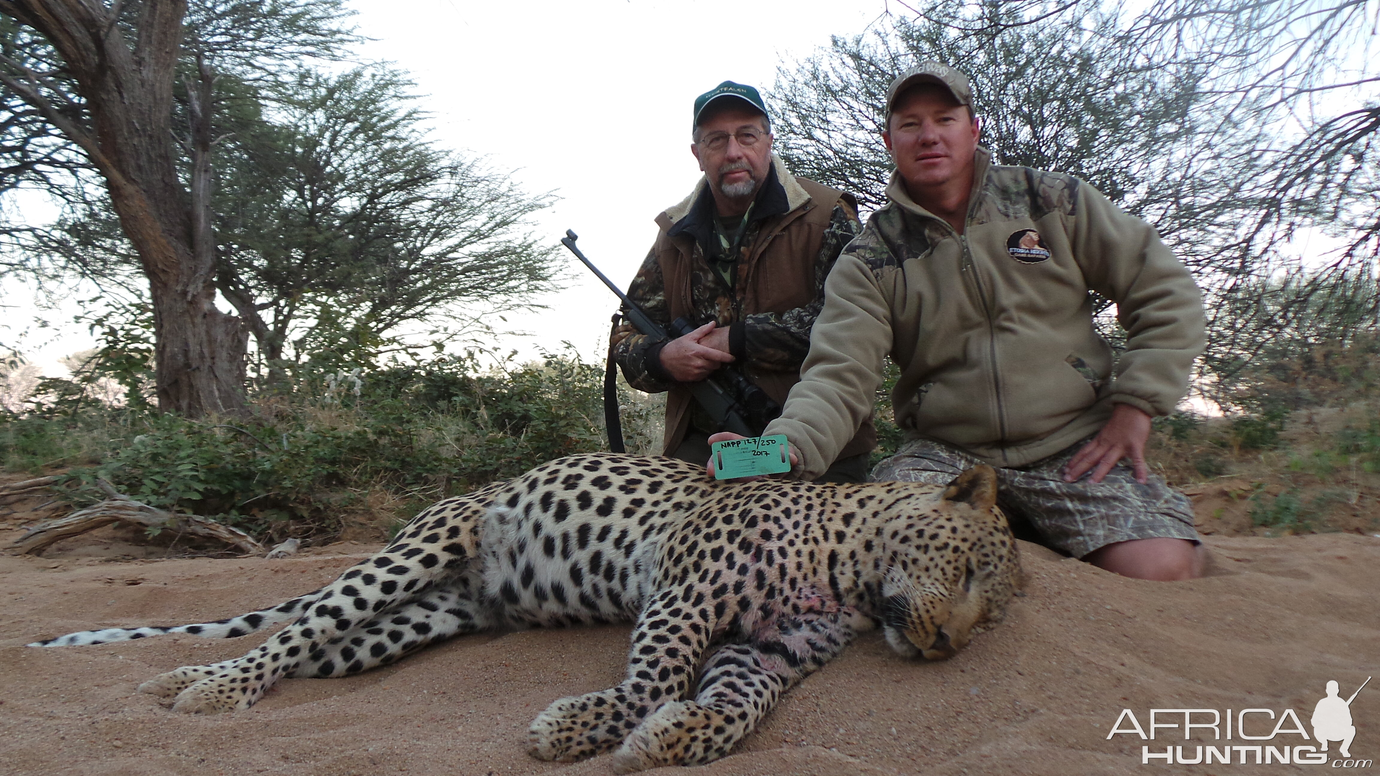 Leopard Namibia